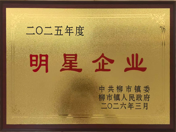 日木线缆有限公司获2025年度柳市镇明星企业